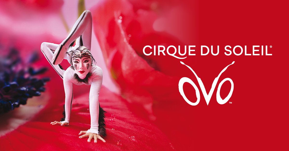 Cirque du Soleil
